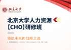 北京大学人力资源（CHO)研修班